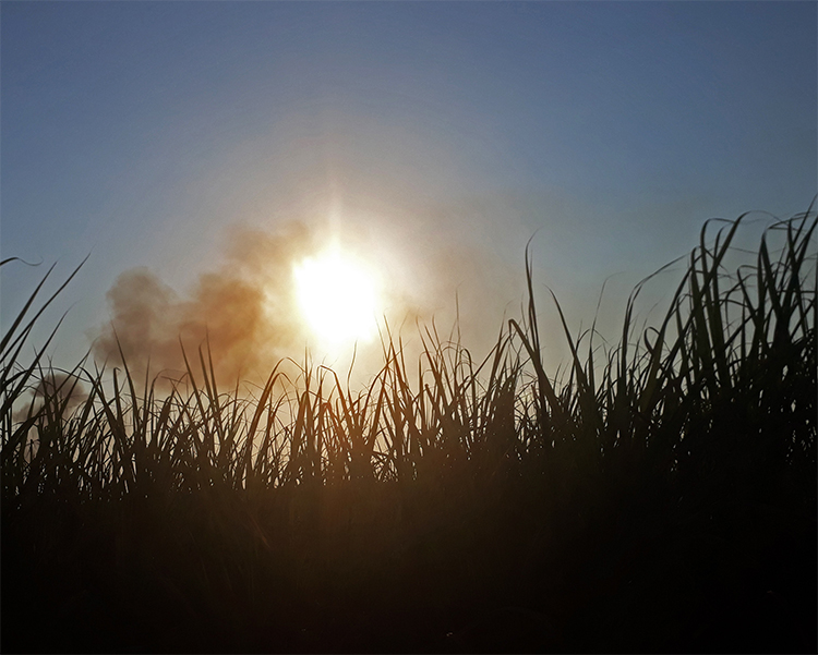 Comissão de Mudança Climática é aprovada  na Câmara de Piracicaba   